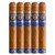 Plasencia Alma del Cielo Celeste Robusto (4.8x52 / 5 Pack) Plasencia Alma del Cielo Celeste Robusto (4.8x52 / 5 Pack)