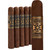 Domain Negentropy Robusto Extra (5x52 / 5 Pack)