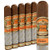 E.P. Carrillo Endure Gordo (6x60 / Box 10)