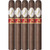 Davidoff Year of the Horse Toro Especial Limited Edition 2026 (6.5x55 / 5 Pack)