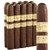 Rocky Patel Decade Robusto (5x50 / 10 Pack) + Free Shipping!