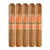 H. Upmann by AJ Fernandez Sunrise Robusto (5x52 / 5 Pack)