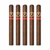 AVO Expressivo Toro (6x54 / 5 Pack)