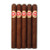  H. Upmann 1844 Reserve Robusto (5x50 / 5 Pack)