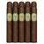 601 Green Label Oscuro Tronco (5x52 / 10 Pack)