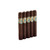 601 Green Label Oscuro Tronco (5x52 / 5 Pack)