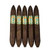 601 Green Label Oscuro La Punta Perfecto (5.5x52 / 5 Pack)