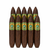 601 Green Label Oscuro La Punta Perfecto (5.5x52 / 10 Pack)