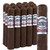 Casa Magna Oscuro Robusto (5x54 / 15 Pack)