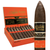 Aging Room Quattro Nicaragua Concerto Churchill  (7x50 / Box 20)