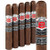 Hoyo de Monterrey Excalibur Black Toro (6 x 52 / 5 Pack)