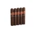 Punch Rothschilds Natural (4.5x50 / 5 Pack)