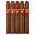 L’Atelier Racine ERB Perfecto (5.3x48 / 5 Pack)
