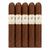 L'Atelier Côte d'Or 2019 Toro(6x50 / 5 Pack)