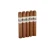 Cohiba Connecticut Gigante (6x60 / 5 Pack)