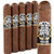 Punch Knuckle Buster Maduro Stubby (4.5x60 / 5 Pack)