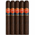Punch Double Corona Maduro (6.75x48 / 5 Pack)