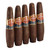 Punch Champions EMS (4.5x60 / 5 Pack)