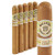 Macanudo Gold Gigante (6x60 / 5 Pack)