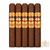 San Cristobal Golden Hour Ocaso Gordo (6x60 / 5 Pack)