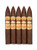 San Cristobal Golden Hour Dorado Pyramid (6.1x52 / 5 Pack)