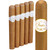 Purofino White Label Connecticut Robusto (5x50 / 5 Pack)