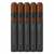 Asylum PCA Exclusive 2021 (6x60 / 5 Pack)