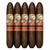 Tabernacle Havana Seed CT NO. 142 Gollath (5x55 / 5 Pack)