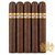 Curivari Buenaventura Maduro BV500 (5.25x50 / 5 Pack)