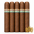 Curivari Buenaventura Favoritos 56 Maduro (5x56 / 5 Pack)