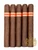 Curivari Gran Reserva Edición 2025 654 (6x54 / 5 Pack)