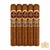 Aganorsa Leaf Rare Leaf Corojo Toro (6x54 / 5 Pack)