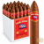 New Cuba By Casa Fernandez Corojo Torpedo (6x52 / Bundle of 25)