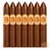 La Aurora 107 Belicoso (6.25x52 / 7 Pack) 