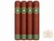 Stillwell Star English Dulce Parejos Toro (6x52 / 4 Pack)