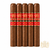 Aging Room Quattro Maduro Concerto (7x50 / 5 Pack)