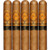 Perdomo Reserve 10th Anniversary Champagne Robusto (5x54 / 5 Pack)