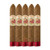 Flor de las Antillas Belicoso (5.5x52 / 5 Pack)