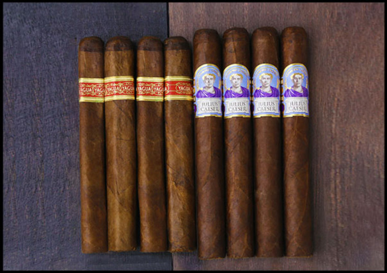 Rare JC Newman Yagua 2023 Sampler (Assorted Sizes / 8 Cigars)