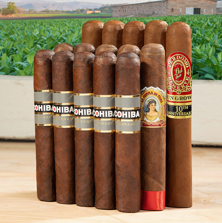 King's Ransom Nicaraguan Sampler (Assorted Sizes / 15 Pack)