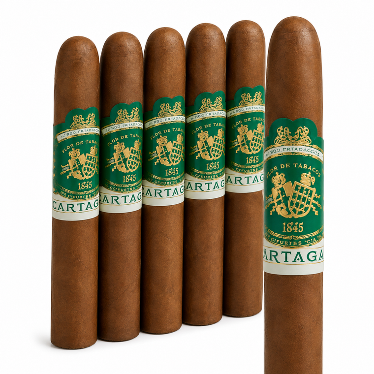 Partagas Valle Verde Toro (6x52 / 5 Pack)