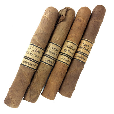 Leaf by Oscar Corojo Sixty (6x60 / Bundle 20) | Cigar King
