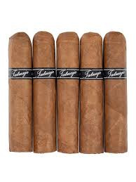 Tatuaje Black Petite Robusto (4x50 / 5 Pack)