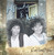 Wendy & Mary Collection (CD)
