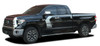 side of NEW! 2015-2021 Toyota Tundra Door Side Stripes TEMPEST
