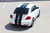 rear of VW Beetle Center Stripes BEETLE RALLY 2012-2016 2017 2018