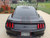 Rear of black Mustang Vinyl Graphics STALLION SLIM 2015 2016 2017