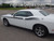 side of white R/T Stripes for Dodge Challenger GT, SE, SXT, Hemi 2011-2026