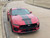 Racing Stripes for 2024 Ford Mustang GT PERFORMANCE RALLY
