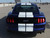 rear view of 2016 Ford Mustang Dual Racing Stripes STALLION 2015-2017